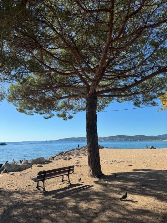 Janvier à Saint‑Raphaël : l’hiver côté Côte d’Azur